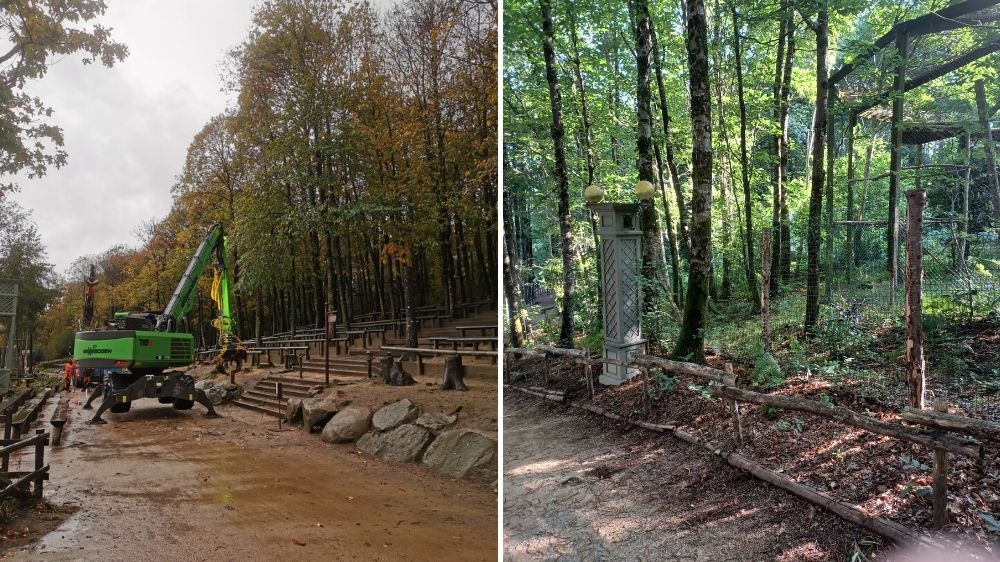 La Roche sur Yon - Abattage d’arbres aux puy du fou (85).jpg