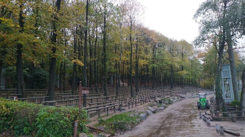 La Roche sur Yon - Abattage d’arbres aux puy du fou (85) 4.jpg