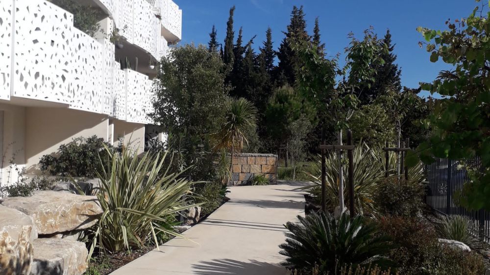 Montpellier - Création d’espaces verts dans une résidence à Lattes (34) 2.jpg