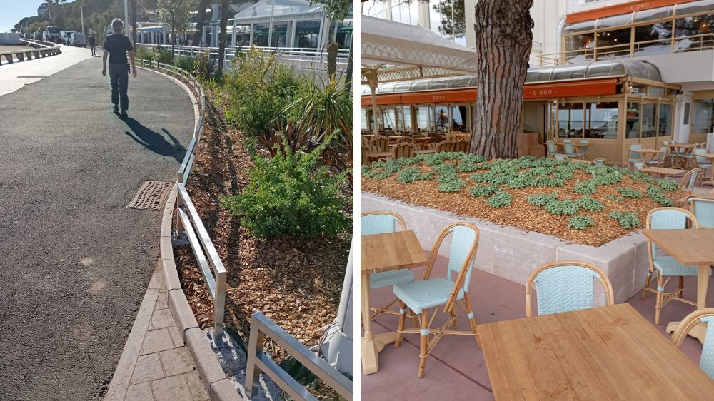 Creation des espaces verts du boulevard Verdier à arcachon.jpg