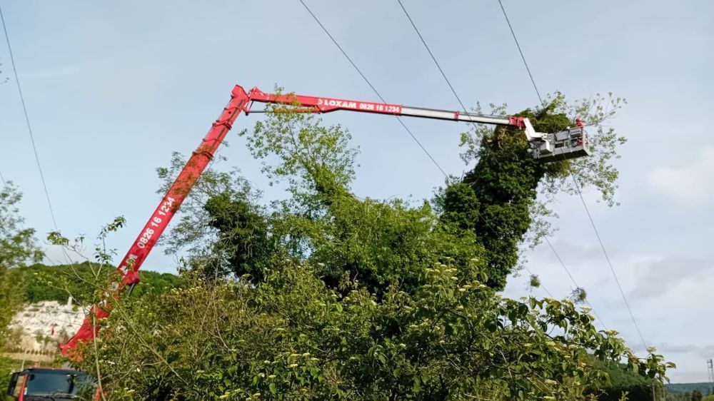 Abattage arbre dangereux enedis - lillebonne.jpg