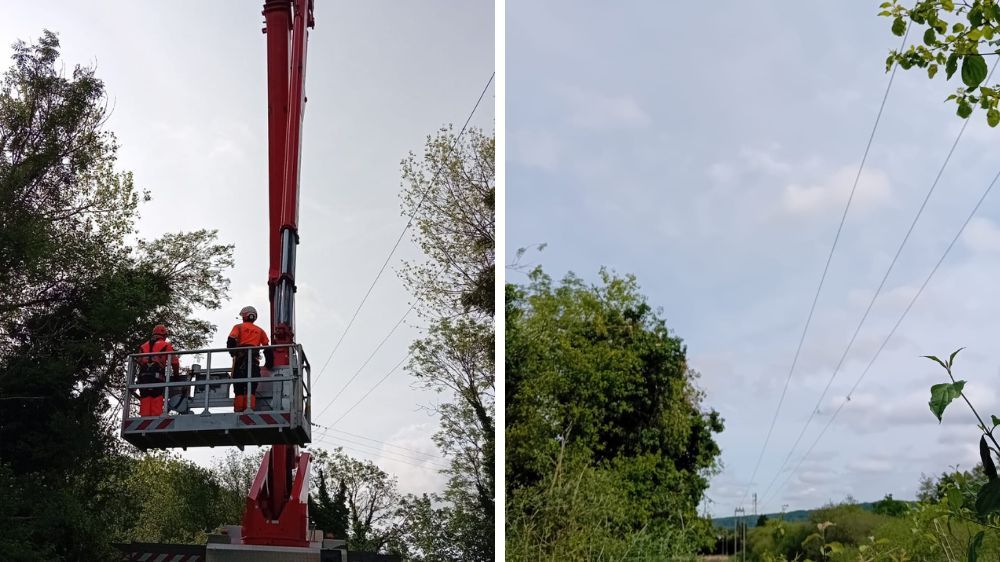 Abattage arbre dangereux enedis - lillebonne (2).jpg