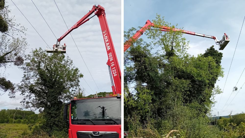 Abattage arbre dangereux enedis - lillebonne (3).jpg