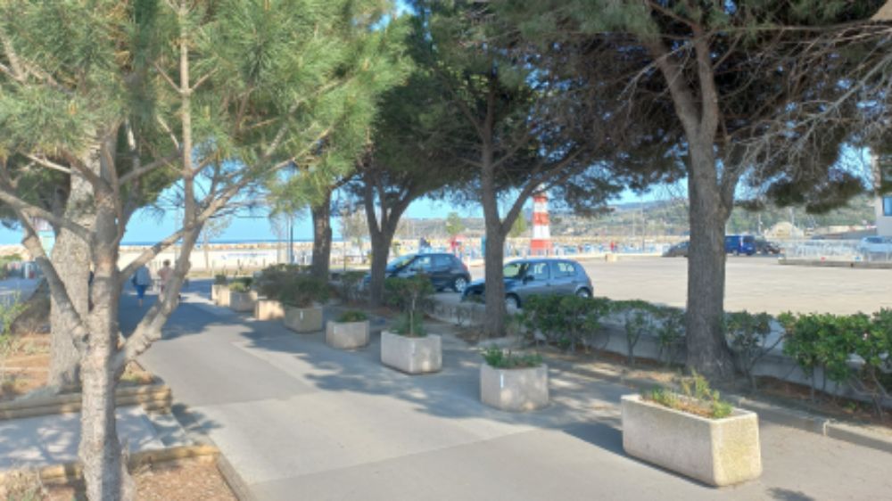 Gestion différenciée des espaces verts d'Argelès-sur-Mer (66) (2).jpg