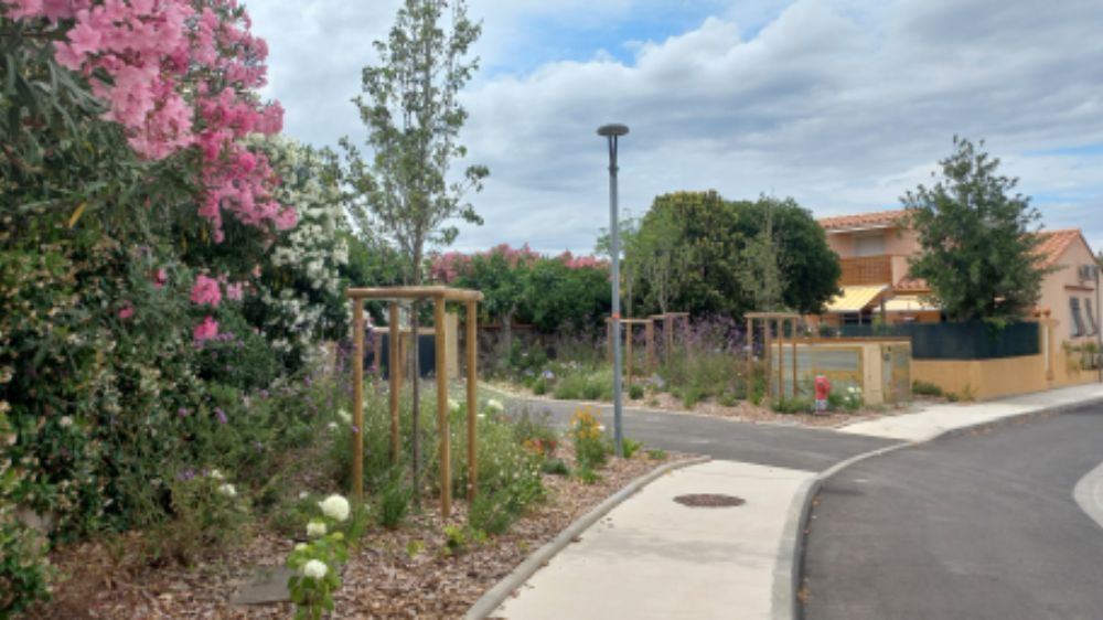 Gestion différenciée des espaces verts d'Argelès-sur-Mer (66) (1).jpg