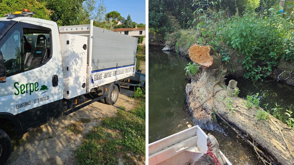 La Roche sur Yon-Débitage d’un Saule dans la rivière - Le Lay (85).jpg