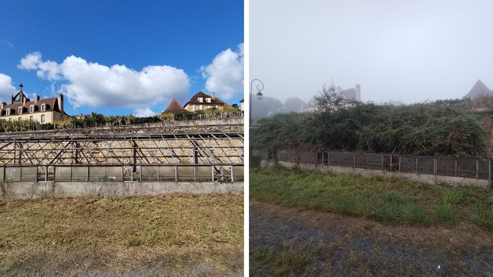 Dégagement d'une serre de culture à Excideuil (Dordogne) (24) .jpg