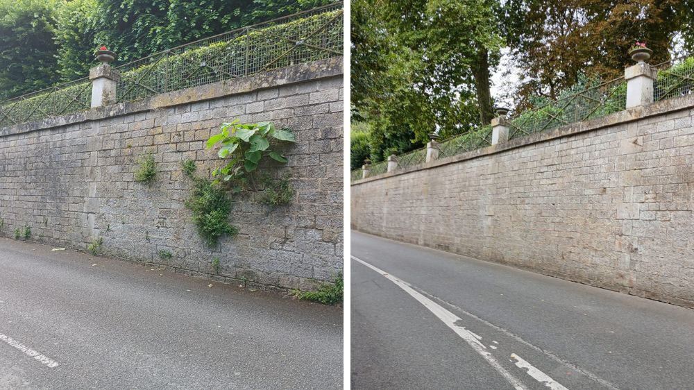 Délierrage sur un mur à Niort (79).jpg