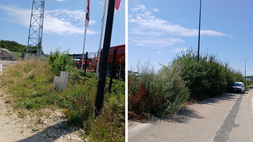 Entretien d’une zone d’activité - à Auxerre (89).jpg