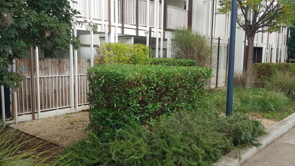 Montpellier - Entretien des Espaces verts à la résidences Mélodie Nature - Fabrègues (34).jpg