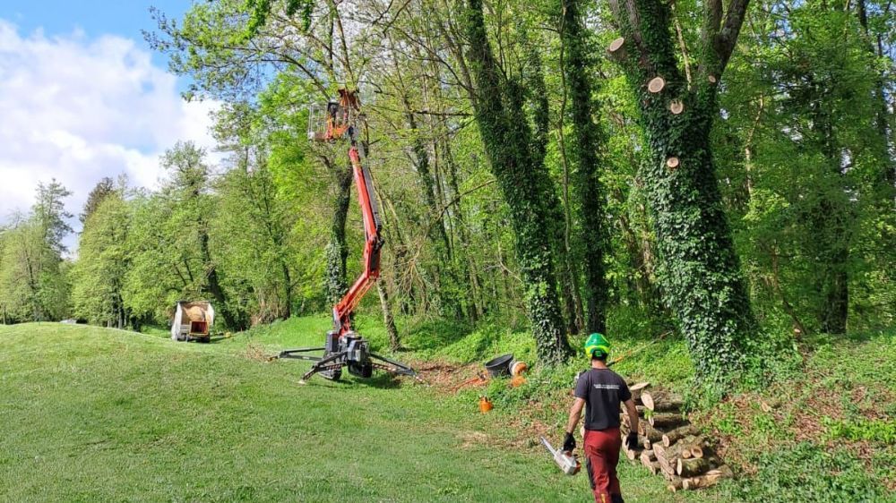 Valence - Mise en sécurité et nettoyage de lignées d’arbres à Faramans (38) 3.jpg