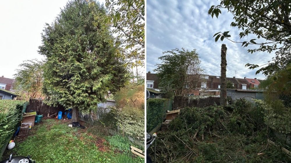 Lille - Démontage d’un sujet gênant le voisinage 2.jpg