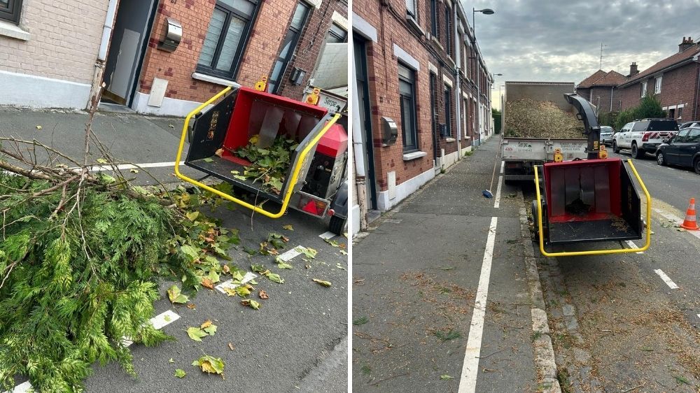 Lille - Démontage d’un sujet gênant le voisinage 3.jpg