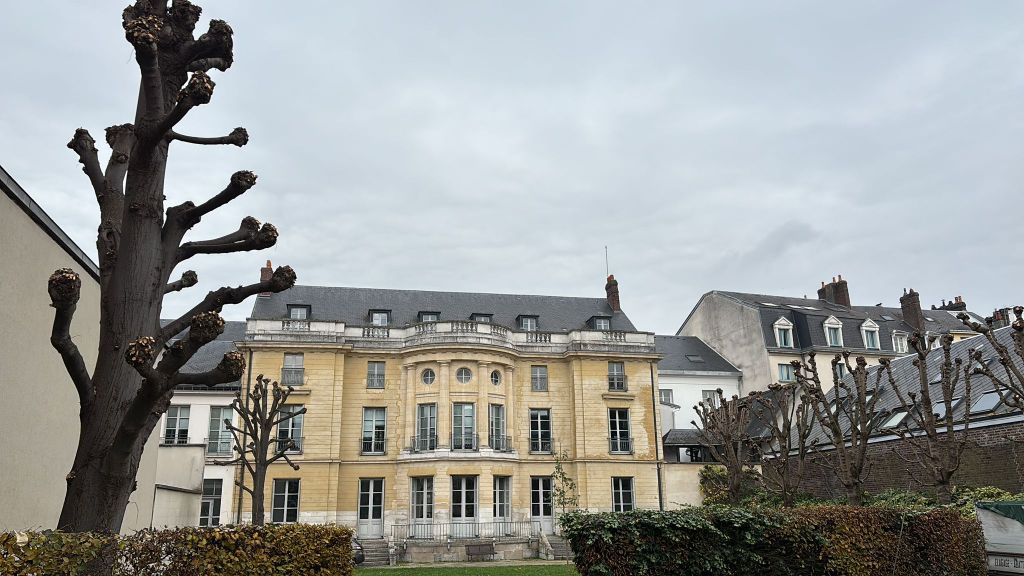 Rouen-Taille en reconversion d’un rideau de tilleuls à la Préfecture2.jpeg