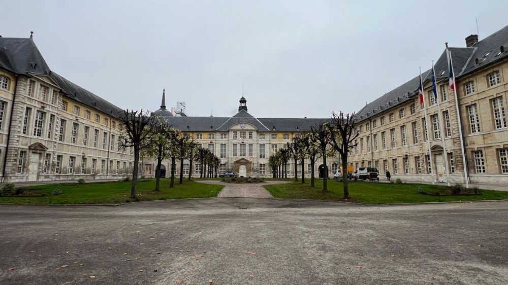 Rouen-Taille en reconversion d’un rideau de tilleuls .jpg