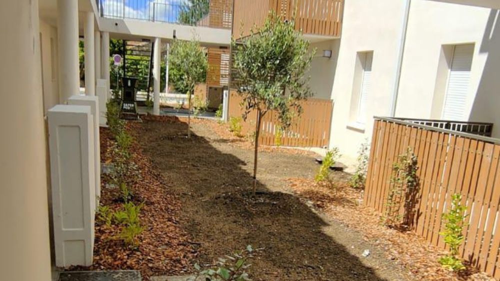 Nimes-Aménagement d'espaces verts dans une résidence2.jpg