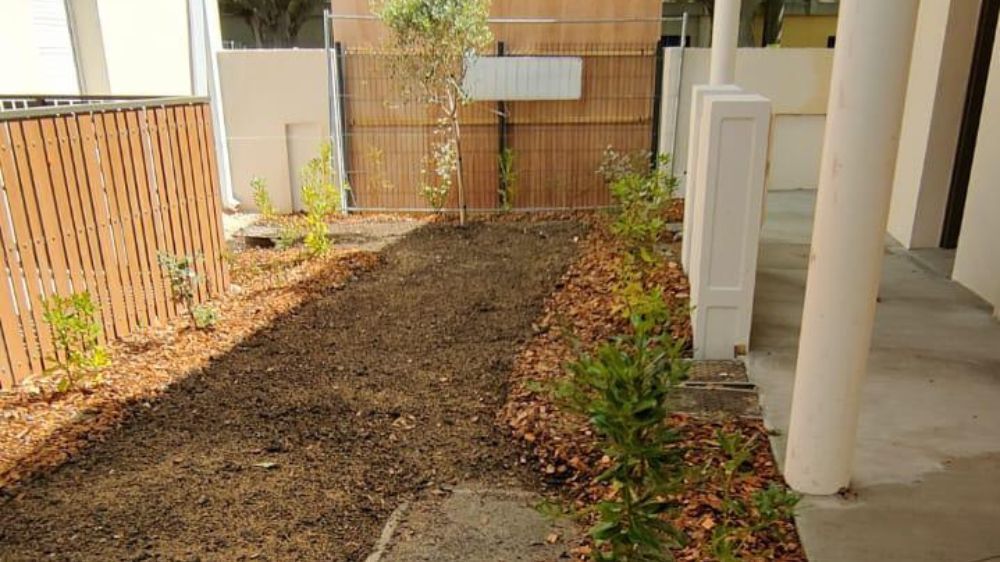 Nimes-Aménagement d'espaces verts dans une résidence 3 .jpg