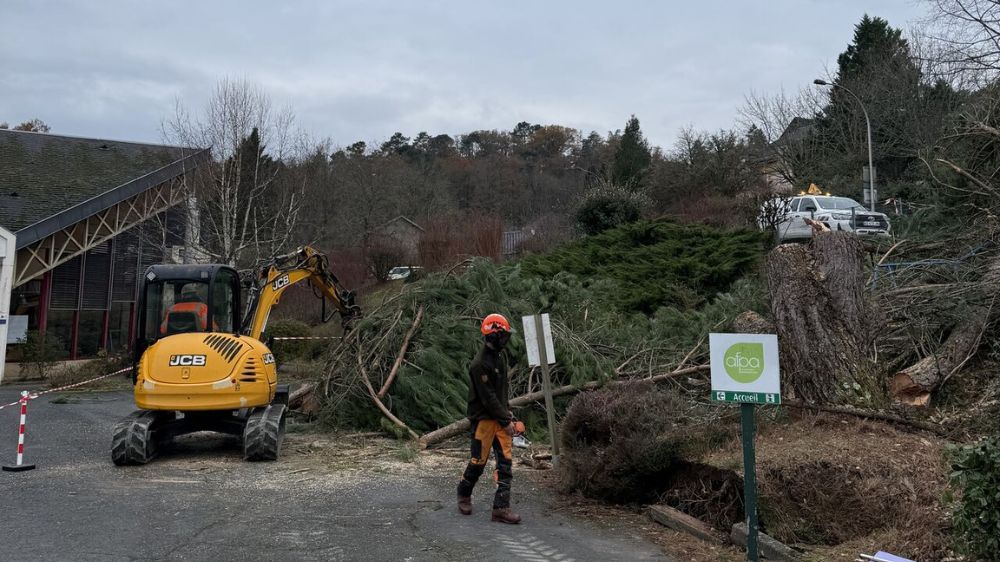 Ducongé Pereira - Intervention d’urgence lors de la tempête.jpg