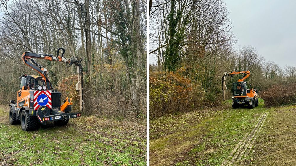 sem - Taille de lisière de forêt avec l’Energreen sur le domaine de Villarceaux (95).jpg