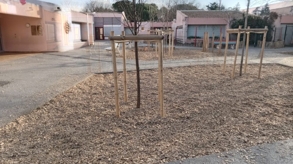 nimes - Aménagement d’un espace extérieur dans une école au angles .jpg