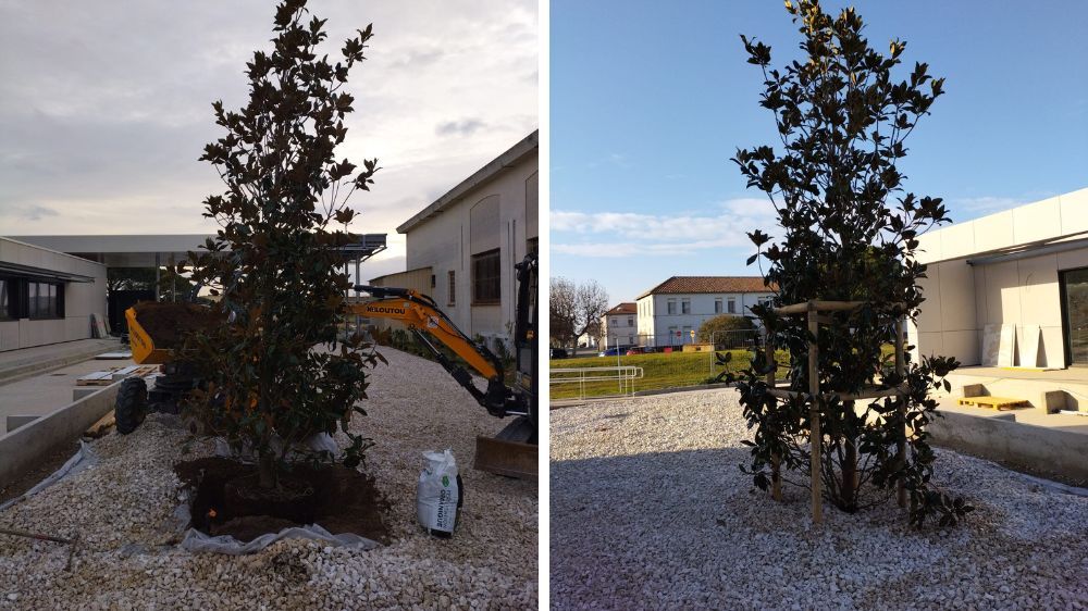 AIX - réalisation des espaces verts du  PEMVR de la base 125 d Istres.jpg