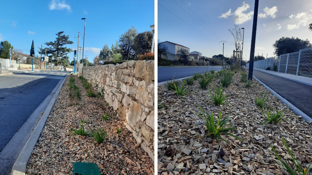 Montpellier - Rénovation de l’Avenue de la Billière à Cournonsec 2.jpg