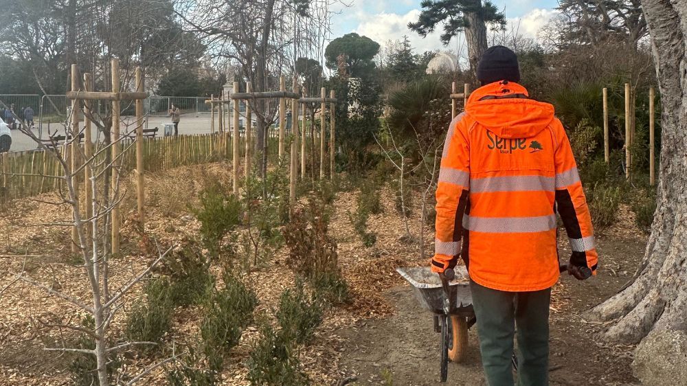 aix en provence - Plan Arbres  Revitalisation du Jardin du Parc Longchamp.jpg