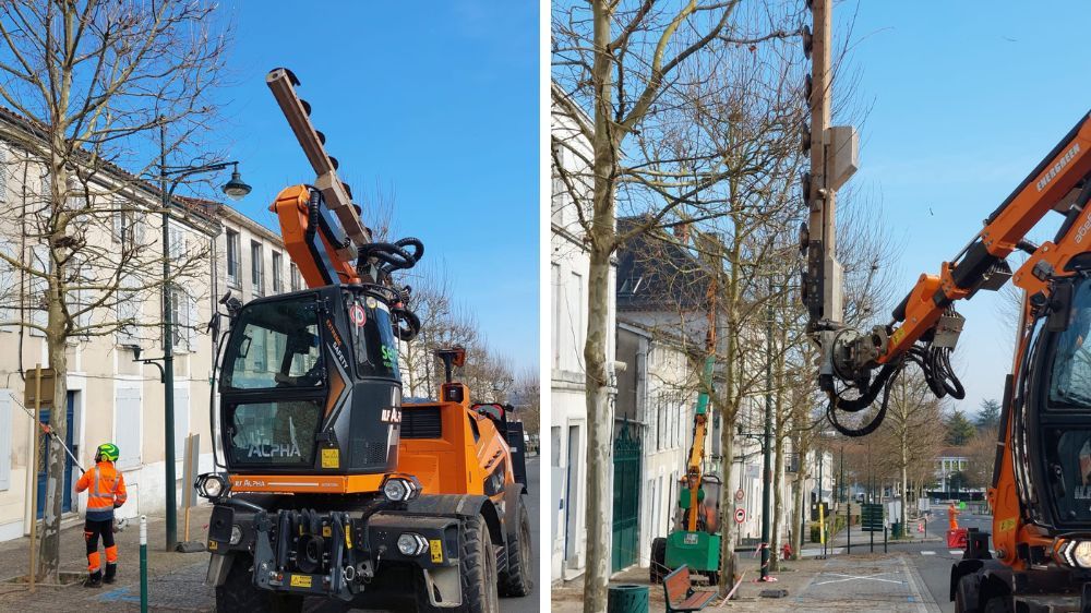 La Rochelle - Taille Port Semi-Libre à Barbezieux-Saint-Hilaire (16).jpg